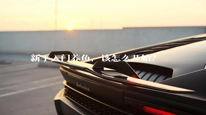 新手入门养鱼，该怎么开始？